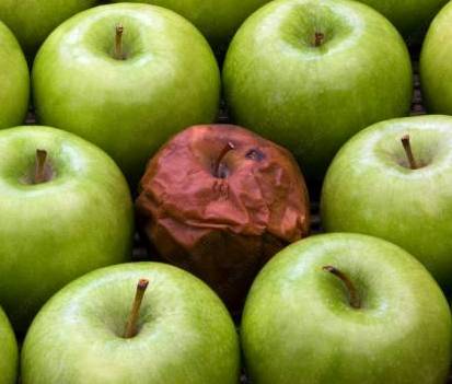 Fun facts:keys of Apples Rot speed